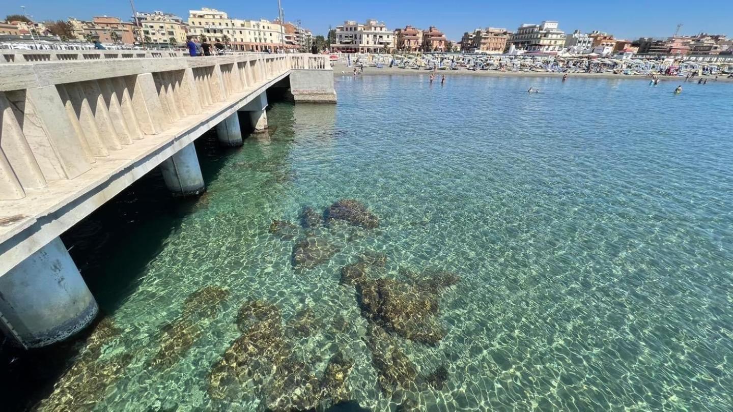 Appartement Pearl Of Sea Ostie